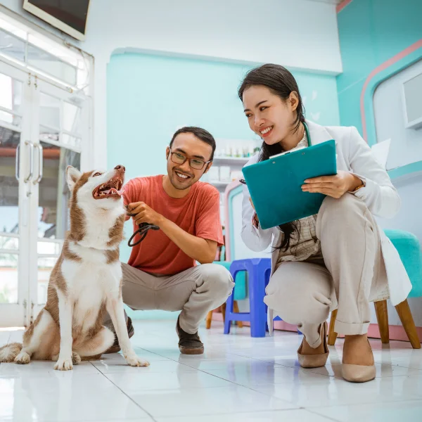Advanced veterinary diagnostic support during home visits in Dubai